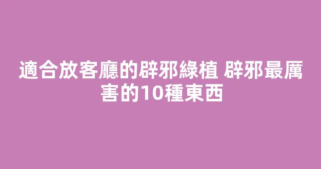 適合放客廳的辟邪綠植 辟邪最厲害的10種東西